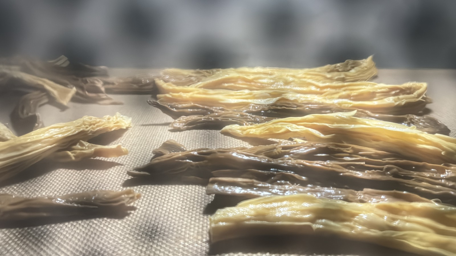 腐竹的“里應外合”：微波隧道如何讓熱量從內部生長？