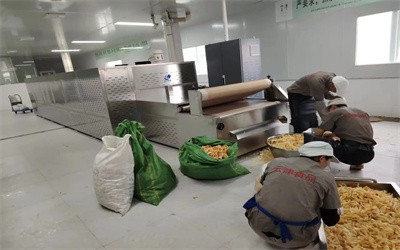 Characteristics of Microwave Expanded Dried Pig Skin